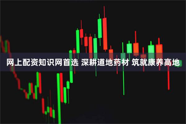网上配资知识网首选 深耕道地药材 筑就康养高地